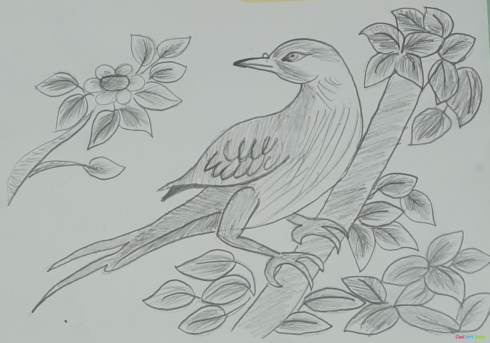 Art Bird Drawing Created by Mukta Suman: Cool Art India