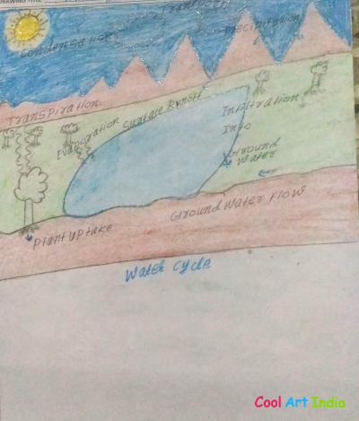 water cycle