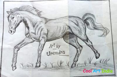Horse Drawing