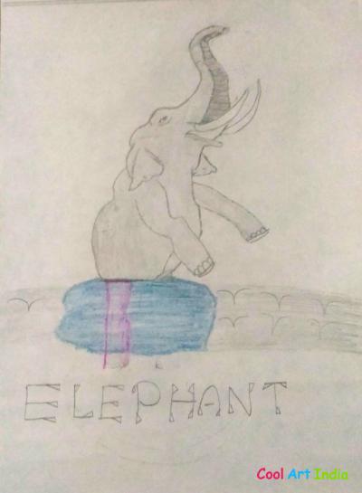 elephant