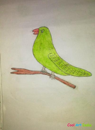parrot