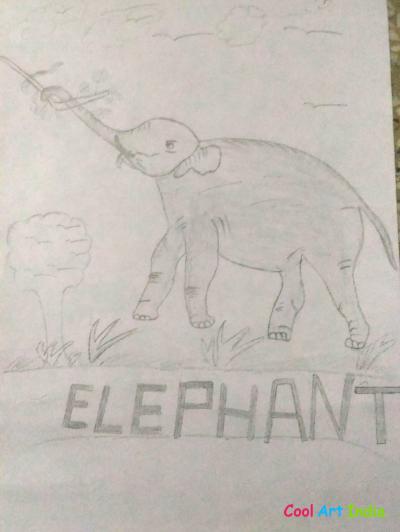 elephant