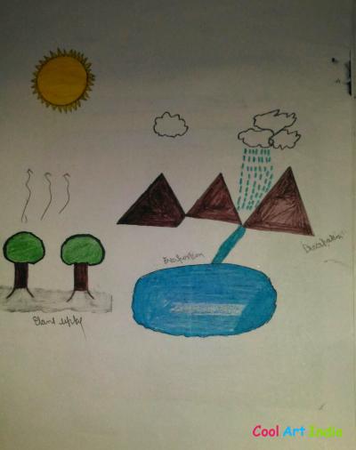 water cycle