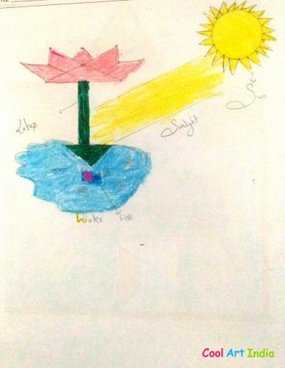 process of photosynthesis 