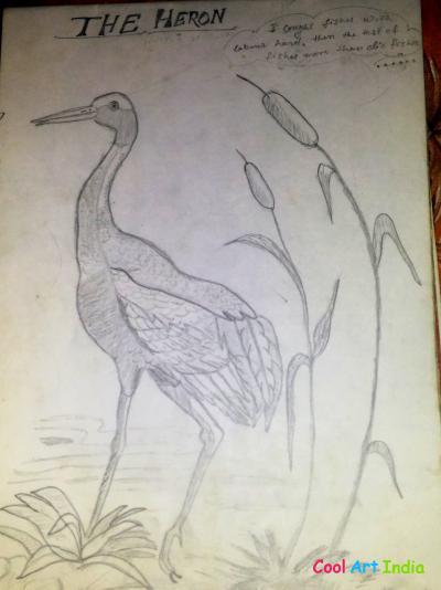 The Heron
