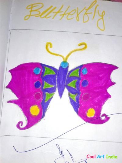 Butterfly