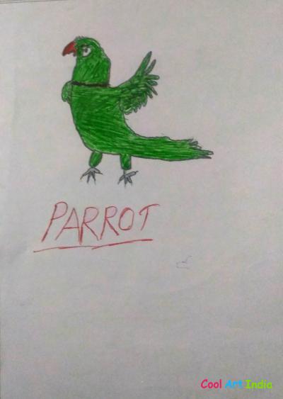 parrot